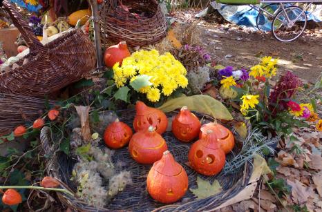Legumes